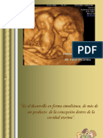 Embarazo Gemelar PDF