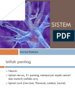 Sistem Saraf PDF