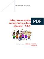 Cerințe Educative Speciale