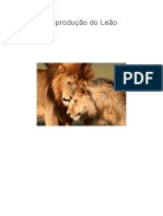 Ficha Técnica do Leão: Características e Habitat | PDF | Leão | Organismos
