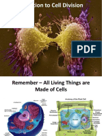 Introduction to Cell Division