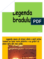 Legenda Bradului