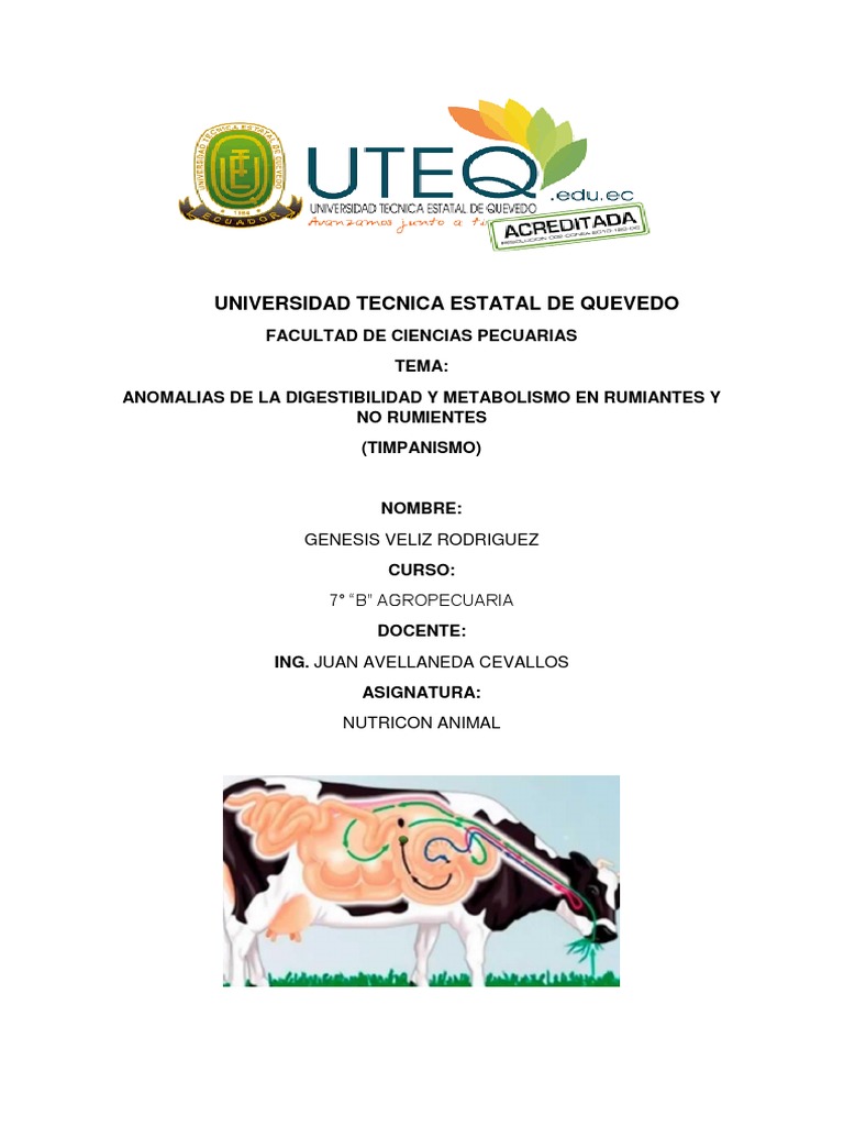 Análisis del timpanismo o meteorismo ruminal en rumiantes y sus causas