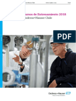 Cursos de Entrenamiento Endress+Hauser Chile 2018.pdf