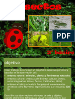 insectos.ppt