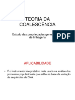 Teoria da coalescência e análise de processos populacionais