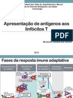 Apresentação de Antígenos Aos Linfócitos T