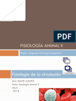 1fisiologia Sangre PDF