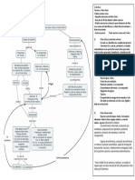 FLUJOGRAMA Ficha Clinica.