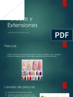 Pelucas y Extensiones