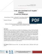 Informe de Genetica Extraccion de Adn en Tejido Animal