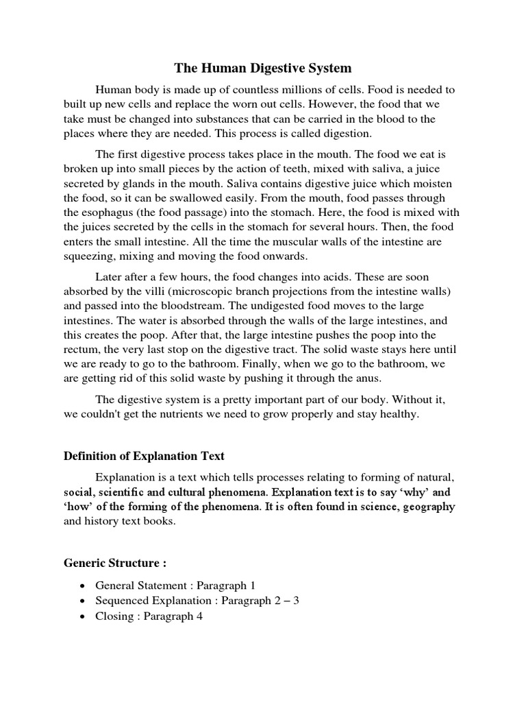 The Human Digestive System (Explanation Text) | Human Digestive System