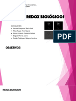 Sistema Redox Biologico