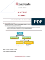 Resúmen Temario Directivo General PDF