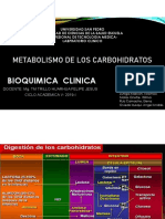 Exposicion de Carbohidratos PDF