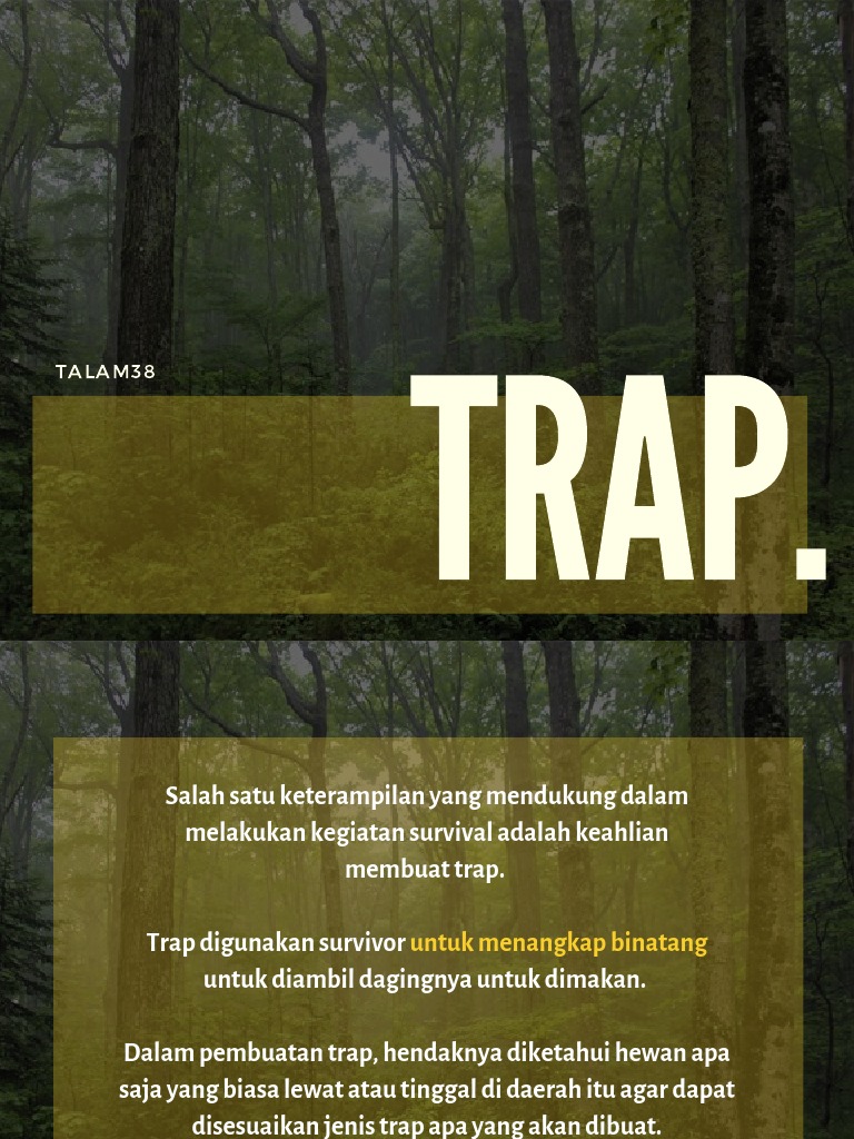 Trap Pdf Pdf