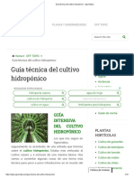Guía Técnica Del Cultivo Hidropónico PDF