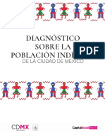 diagnostico población indígena en la ciudad.pdf