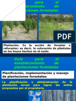 Guia Para El Establecimiento de Plantaciones Forestales