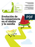 Competencia Melón y Sandia