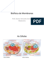 Download Biofsica de Membranas by Inez Auad SN43927009 doc pdf