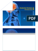 anatomia humana.docx
