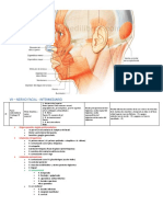 Mimica Facial PDF
