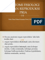 anatomi-fisiologi-organ-reproduksi-pria.pptx