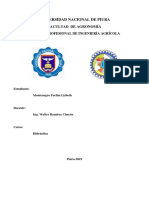 Proyectos Hidraulicos Informe