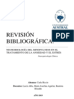 Revision Bibliográfica Neurospicología
