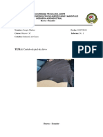 Muñoz_Sergio_Informe Curtido de piel de chivo.pdf