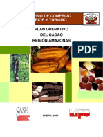 plan operativo del cacao amazonas.PDF
