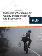 Indonesia Report