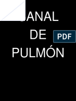 Canal de Pulmon