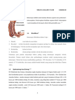 Diagnosis Intususepsi