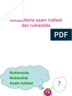 Metabolisme Asam Nukleat Dan Nukleotida