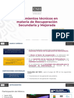 09-Lineamientos Tecnicos Materia Recuperacion Secundaria Mejorada PDF