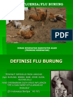 Flu Burung PROMKES