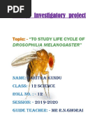 Biology Cls 12 Project