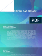 Initial Gas in Place