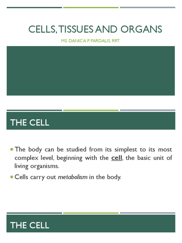 2.1. Cells Tissues Organs PDF | Download Free PDF | Mitosis | Cell ...