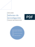 El Desarmadero Informe PDF