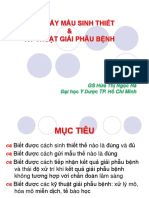 1.1 .Sau Đai Hoc - Cach Lay Mau Sinh Thiet - KT GPB 15 - '10-18 PDF