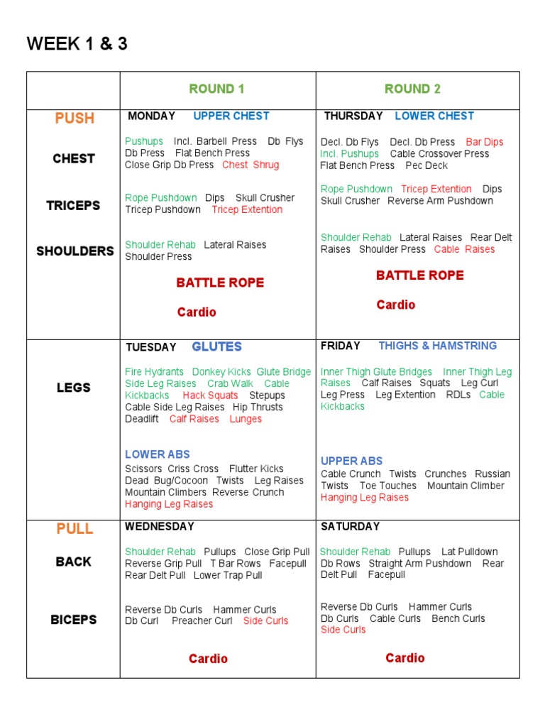 New Work Out Routine Musculoskeletal System Limbs Anatomy