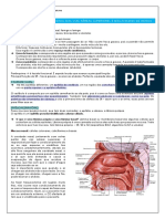 Edt Vias Aéreas Superiores Fisiologia PDF