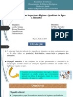 TEMA-13-PAPEL DO ESTADO NA INSPECCAO....pdf