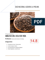 Informe ACV PDF