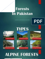 Forests PPT by @mwajdan5 (Insta)