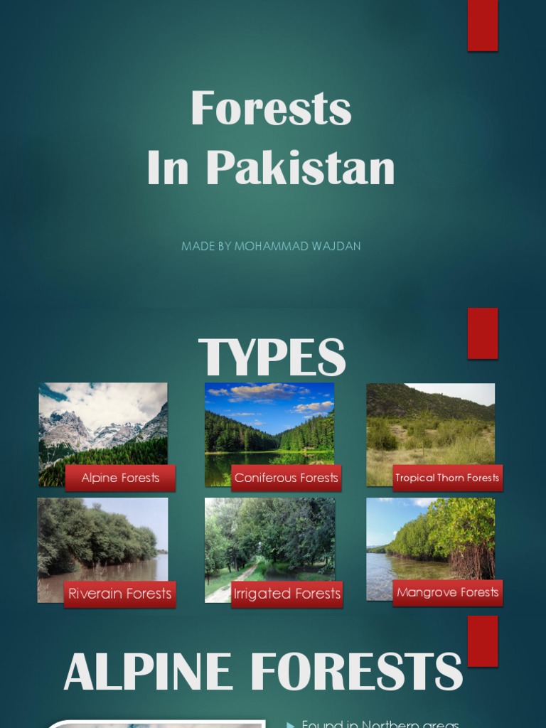 Types of Forests in Pakistan | PDF | Forests | Deforestation