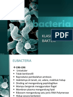 Klasifikasi Bakteri